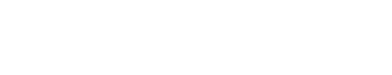 L'ORANGE AUTO IMPORT SERVICE